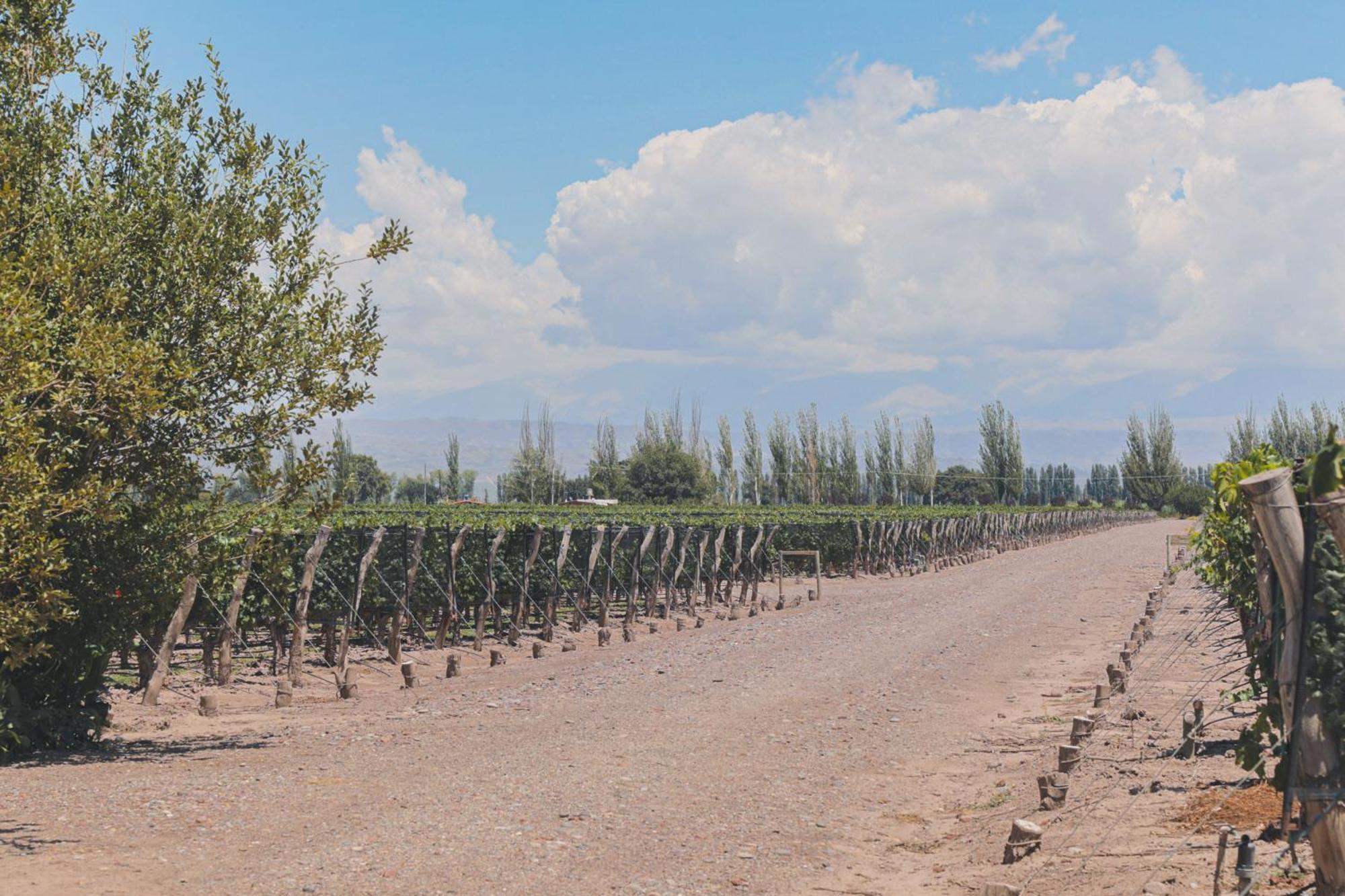 Enlace Wine House Lujan de Cuyo Esterno foto