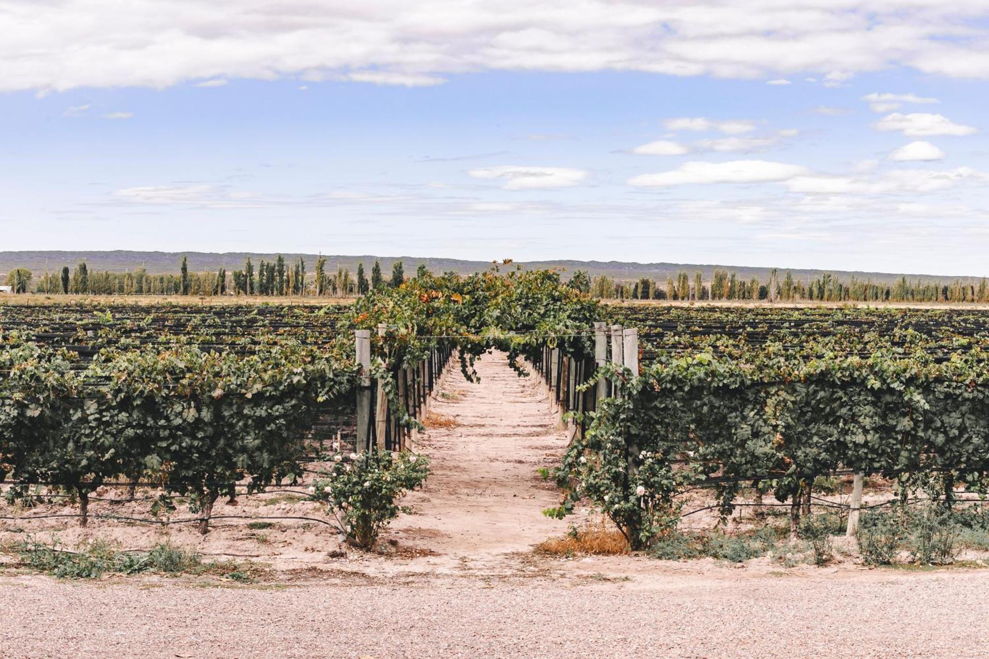 Enlace Wine House Lujan de Cuyo Esterno foto